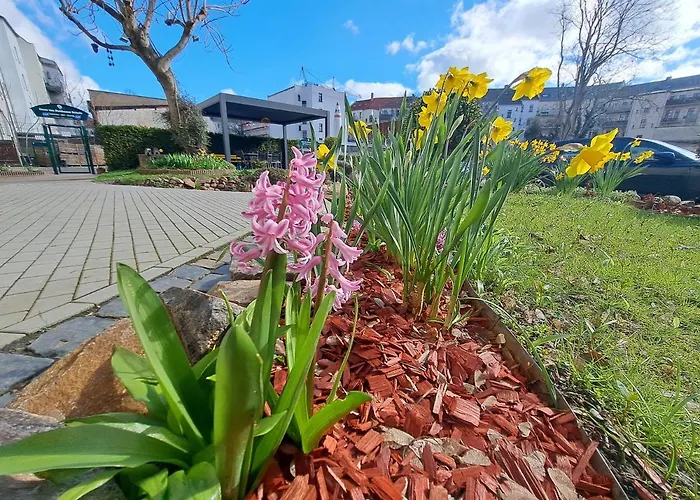 מלון דירות Space Im Campus Der Jvp Schule *