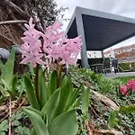 Apartahotel Space Im Campus Der Jvp Schule *