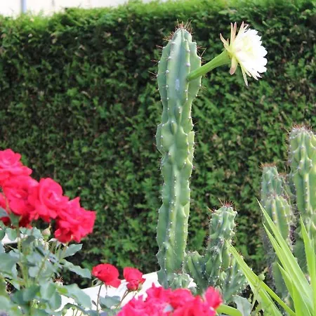 Space Im Campus Der Jvp Schule *