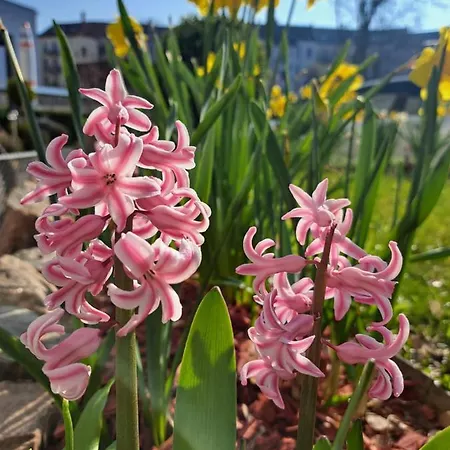 Space Im Campus Der Jvp Schule *