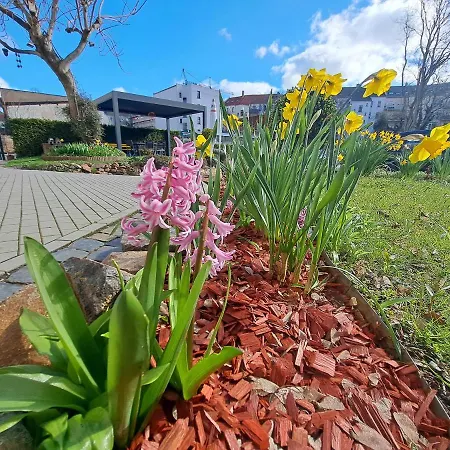 Lejlighedshotel Space Im Campus Der Jvp Schule *
