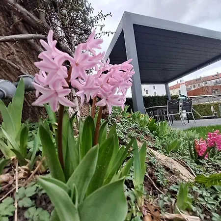 Lejlighedshotel Space Im Campus Der Jvp Schule *