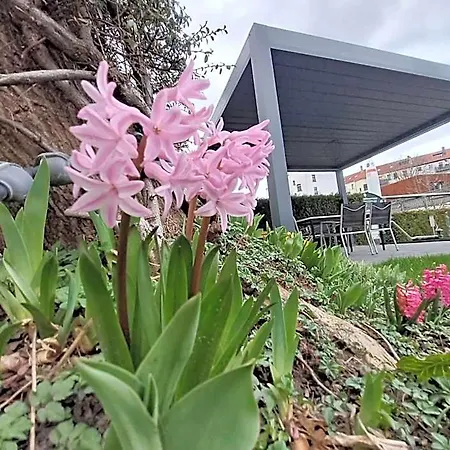 Space Im Campus Der Jvp Schule