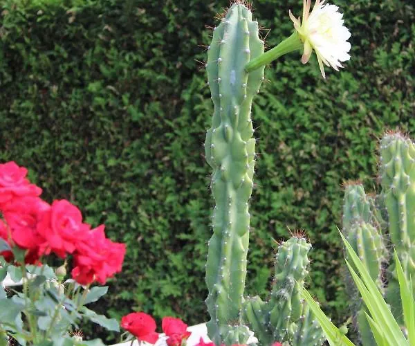 Space Im Campus Der Jvp Schule *