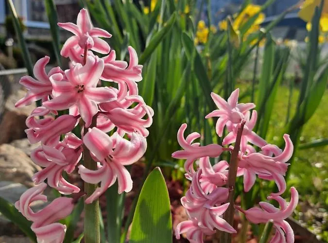 Space Im Campus Der Jvp Schule *