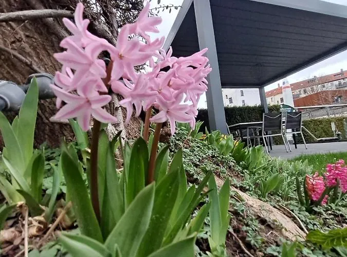 Aparthotel Space Im Campus Der Jvp Schule *